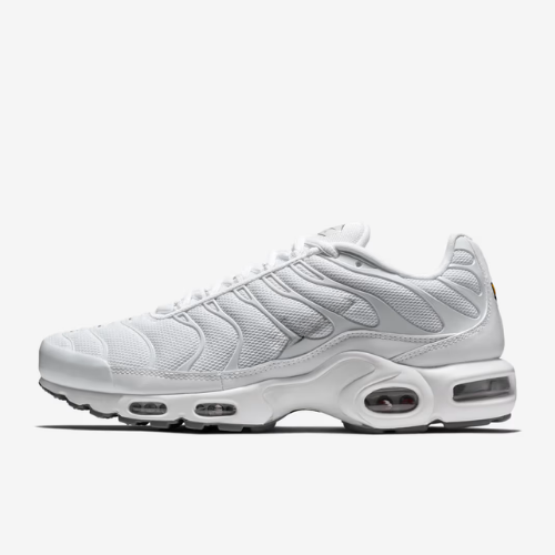 NK Air Max Plus