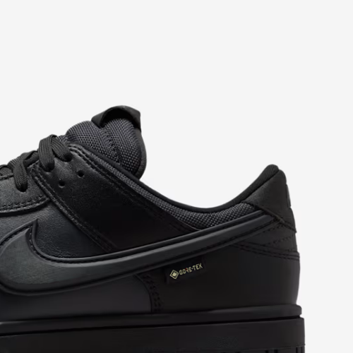 NK Dunk Low GORE-TEX