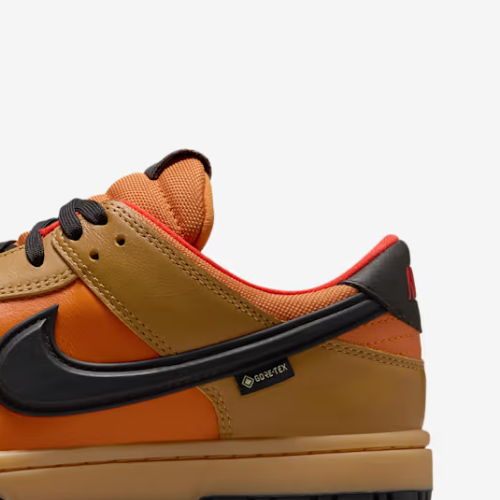 NK Dunk Low GORE-TEX